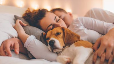 2019/11/Young-couple-relaxing-on-the-bed-with-her-pet-dog-635904362_8574x5715.jpeg