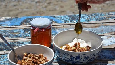 2019/12/Greek-yoghurt-with-honey-and-walnuts1.jpg