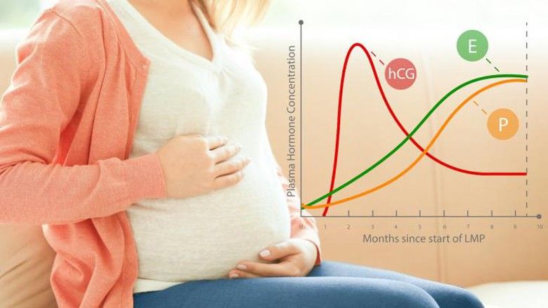 2020/01/early-pregnancy-hcg-and-hormone-levels-1440.jpg