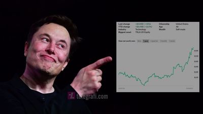 2020/01/elon-musk-revenue-tlg.jpg
