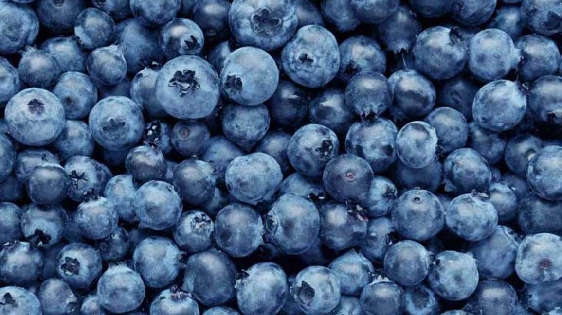2020/08/blueberries-1296x728-feature.jpg