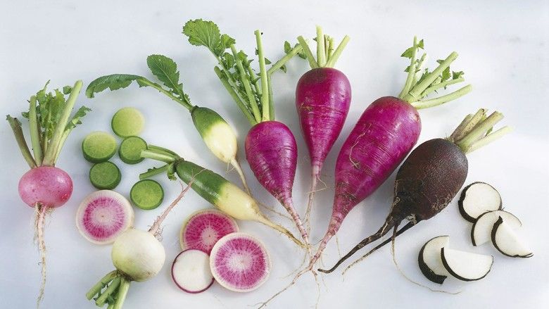 2020/09/Many-Radishes-57f2a55d3df78c690f2.jpg