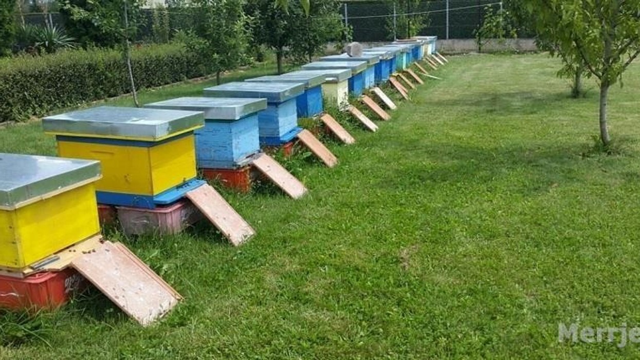 Kosheret e bletëve vjedhen në Zveçan, policia nis hetimet