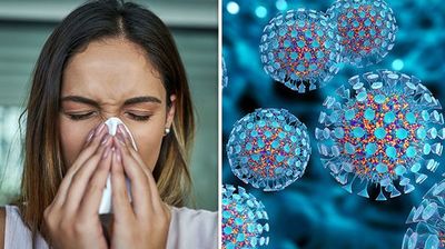 2020/10/USA-flu-921440.jpg