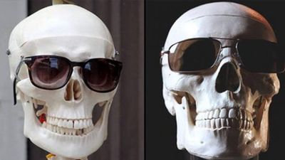 2020/11/sunglasses-wearing-skull-on-familys-mantelpiece-turns-out-to-be-man-missing-for-eight-years-650x340-1.jpg