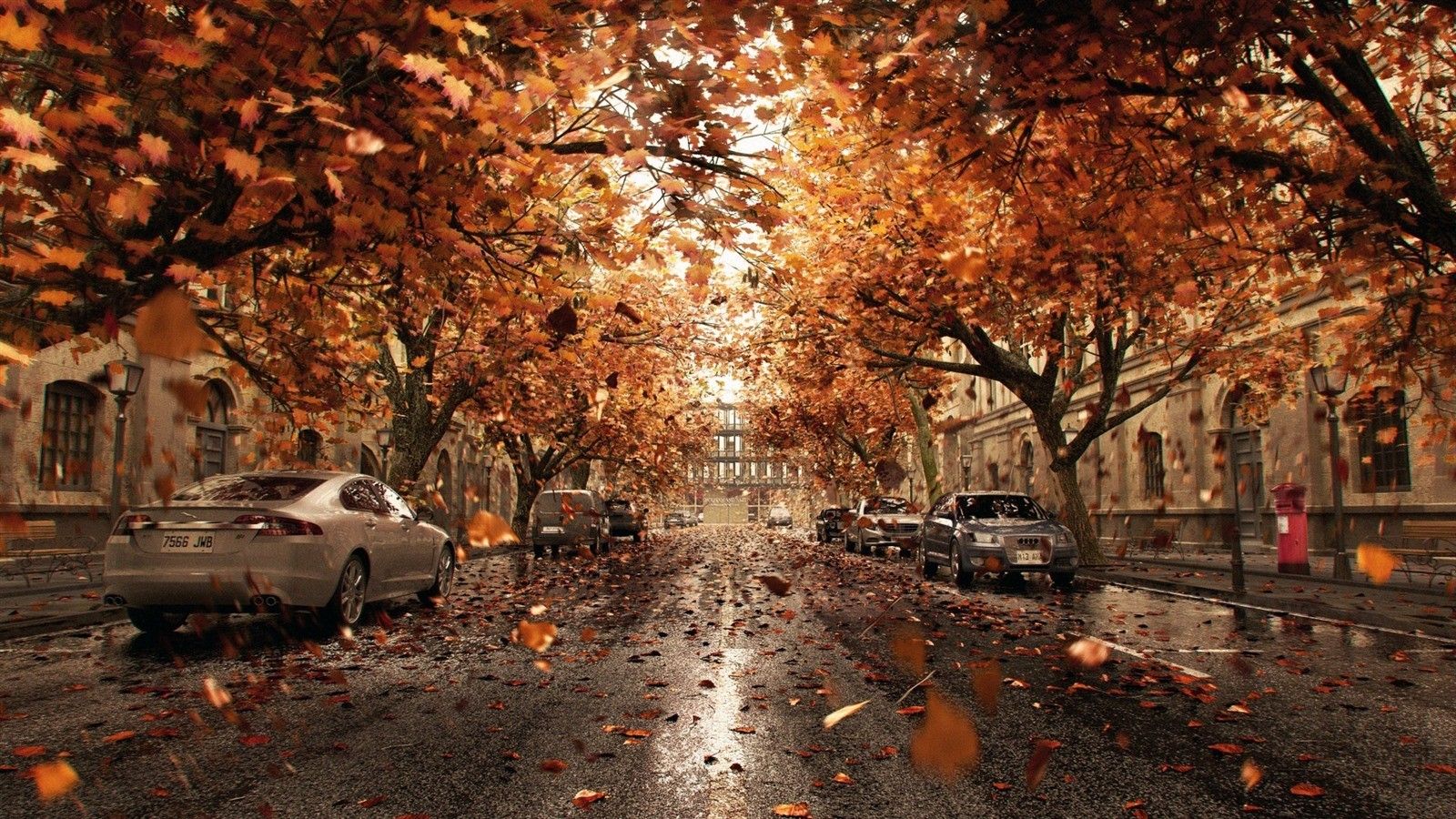 2020/11/Cars-trees-road-city-leaves-autumn_1600x900.jpg