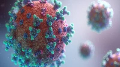 2020/12/Coronavirus_Fusion-Medical-Animation_640.jpg