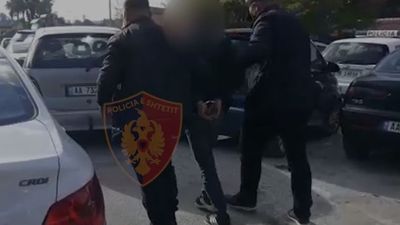 2020/12/trafikante.jpg