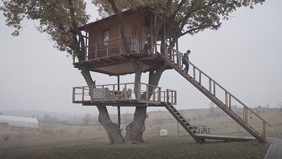 2020/12/shtepia-ndru.jpg