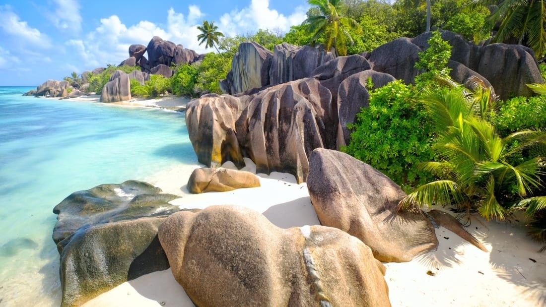2021/02/http___cdn.cnn_.com_cnnnext_dam_assets_210106135849-seychelles-beach.jpg