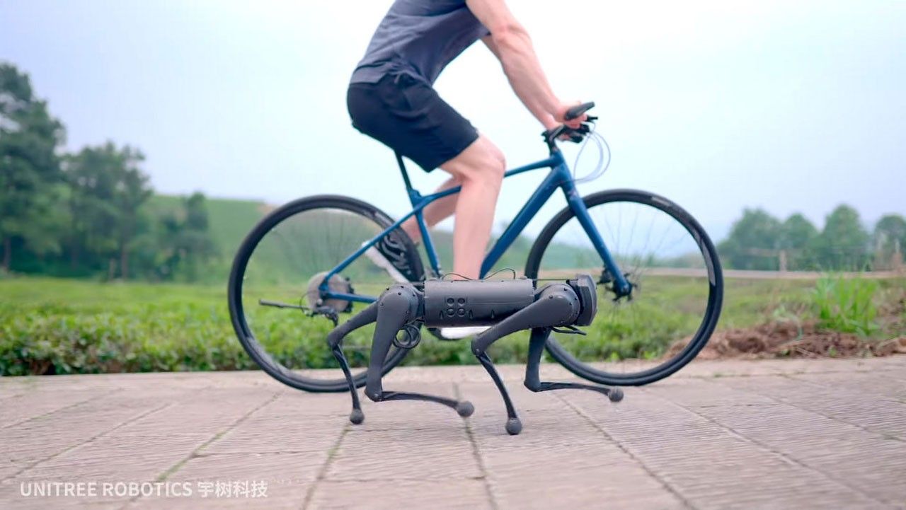 2021/06/unitree-quadraped-e1623485651637.jpg