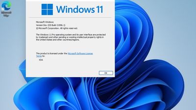 2021/06/Windows-11_13_winver.jpg