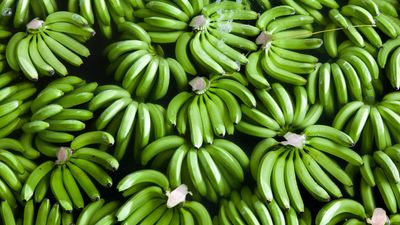 2021/07/green-bananas-1.jpg