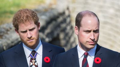 2021/08/gettyimages-666508844-1573847148-scaled-e1629562967861.jpg