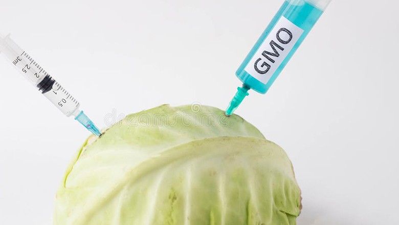 2021/09/cabbage-white-background-which-gmo-nitrates-injected-syringe-close-up-cauliflower-nitrates-two-syringes-123124165.jpg