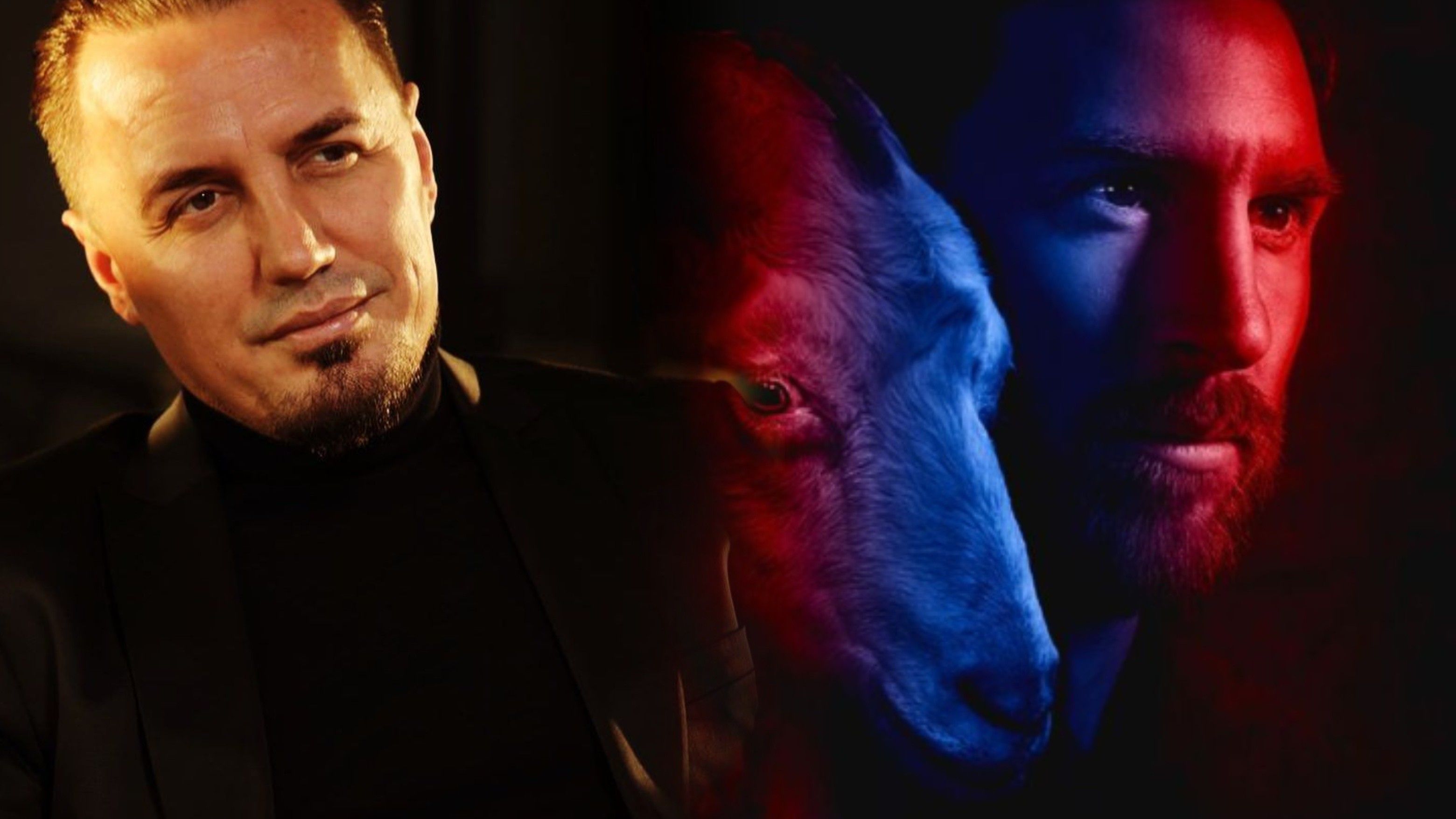 2021/11/collage-5-6-scaled.jpg