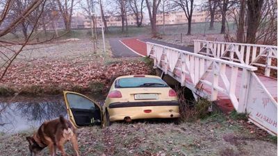 2021/12/makina-SK.jpg