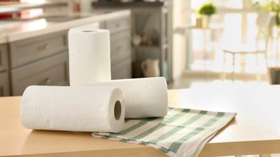 2022/01/StopUsingPaperTowels-1080x675-1.jpeg