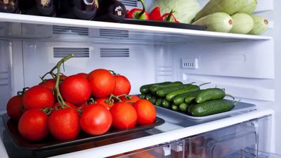 2022/01/A-tray-full-of-tomatoes-and-cucumber-inside-a-fridge.jpg