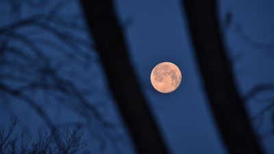 2022/03/low-angle-view-of-moon-against-sky-at-night-royalty-free-image-1095498040-1551956853-1-scaled.jpg