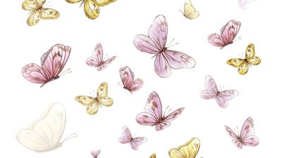 2022/03/butterfly-wall-decals.jpg