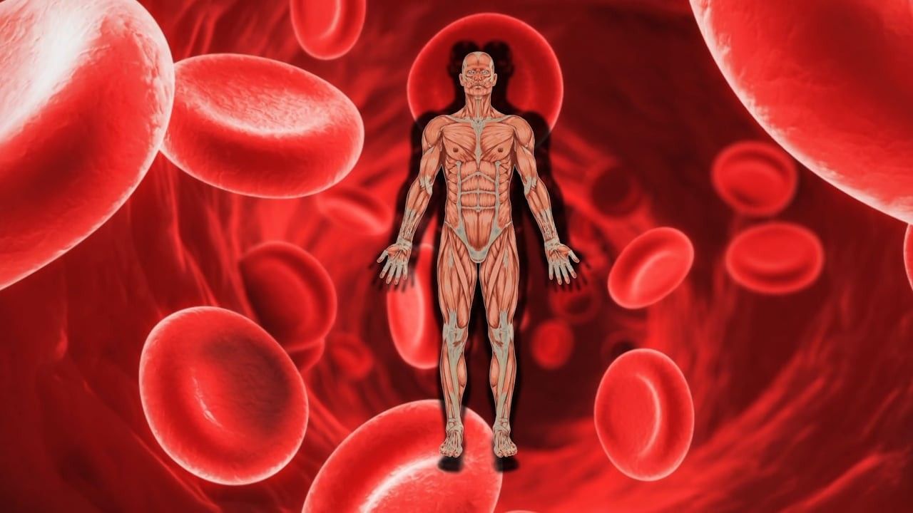 2022/04/graphic-wnmdc-medical-blood-cells-and-anemia.jpg