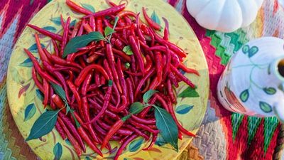 2022/05/image_10790-Capsaicin.jpg