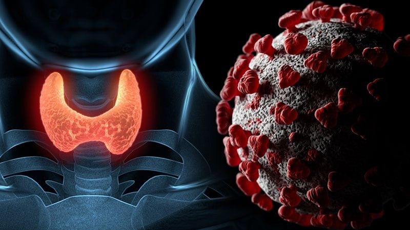 2022/07/ih_201002_coronavirus_covid-19_thyroid_gland_800x450.jpg
