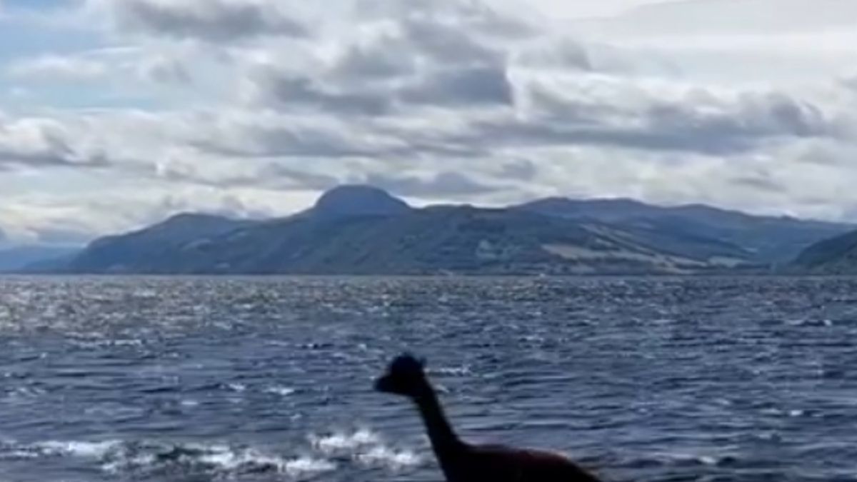 2022/08/0_PAY-ALPACAS_SWIM_LOCH_NESS_DN00A.jpg