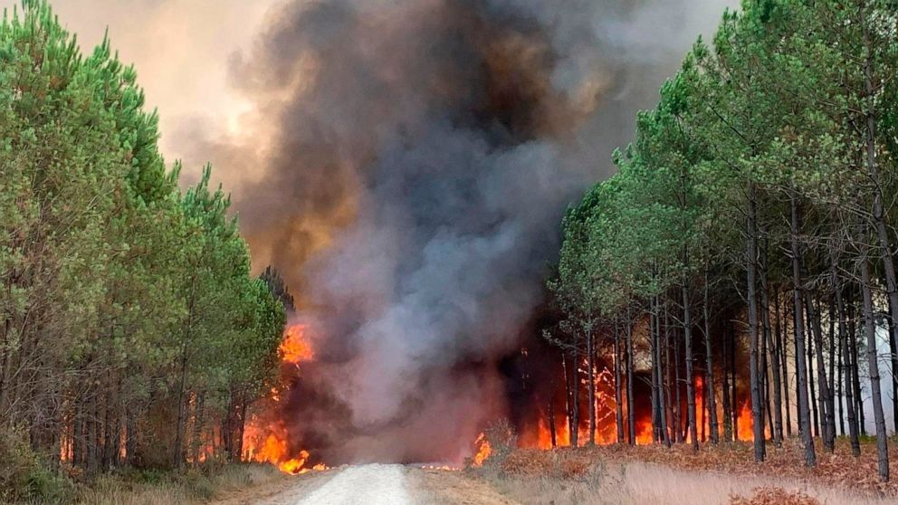 2022/08/gironde-wildfire-01-ap-iwb-220810_1660156906480_hpMain_16x9_992.jpg