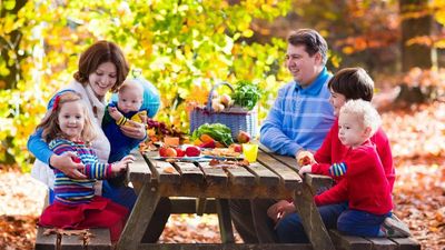 2018/03/family-having-picnic-autumn-happy-young-four-children-grilling-meat-making-sandwich-salad-table-sunny-park-75600763_edited.jpg