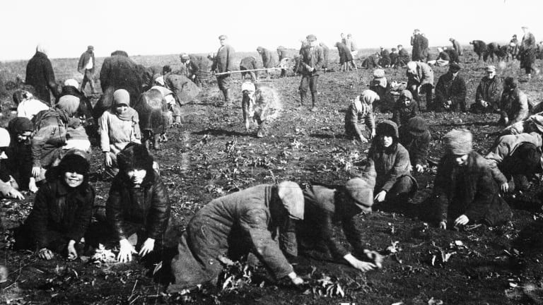 2022/11/ukrainian-famine-gettyimages-170981325-feature.jpg
