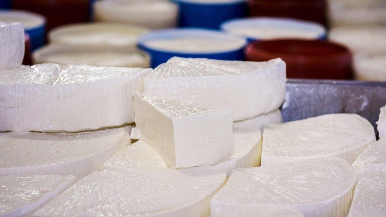 Konfiskohet djathë pa dokumente në Leposaviq