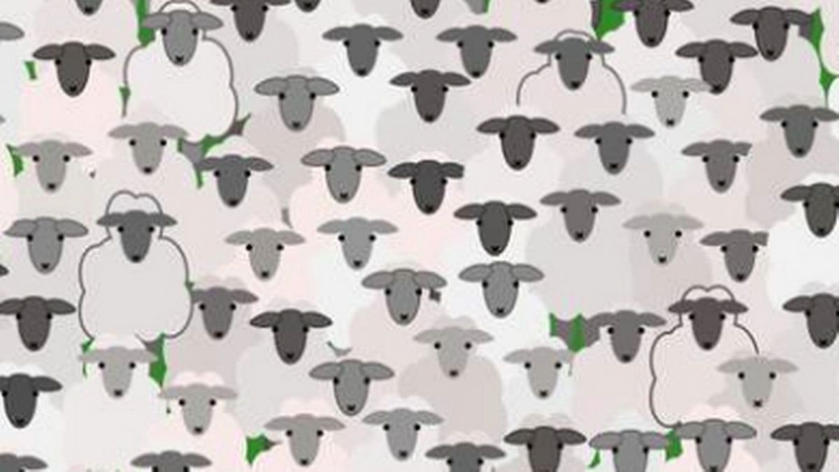 2023/04/0_You-have-a-high-IQ-if-you-can-spot-the-hidden-goat-amongst-the-sheep-in-11-secondsjpgTes-your.jpg