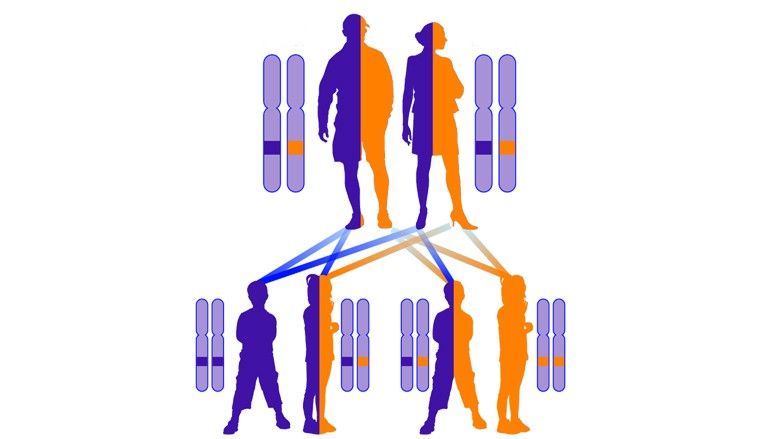 2023/06/Autosomal-recessive-123.jpg