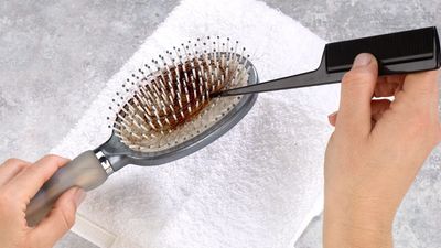 2023/11/BB-Article-2-1-brushes-how-to-clean-1.jpg