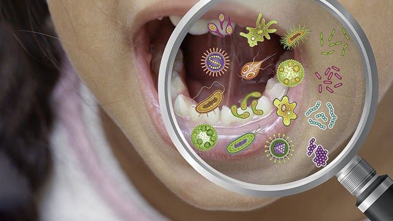2023/11/oralmicrobiome-123.jpg