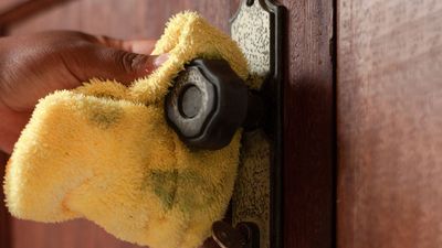 2024/02/cleaning-metal-doorknob.jpg