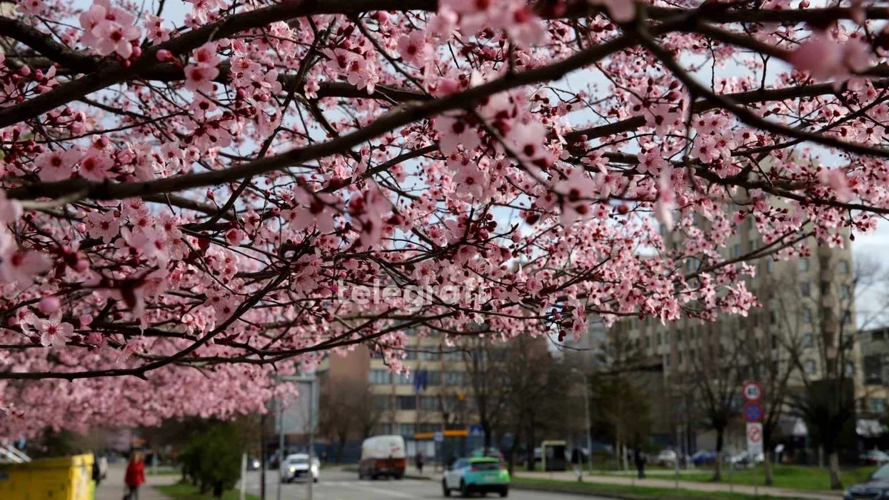Diell dhe vranësira, temperaturat deri në 22°C
