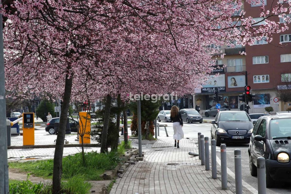 Vranësira dhe diell, mëngjes i ftohtë gjatë së dielës Vranësira dhe diell, mëngjes i ftohtë gjatë së dielës