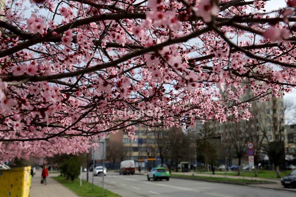 Mot me diell, temperaturat deri në 23°C