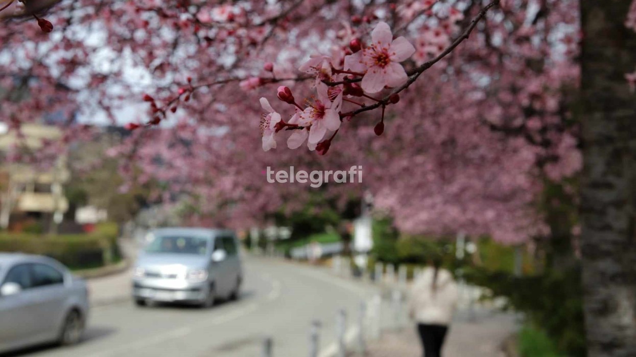 E mërkurë me kthjellime dhe erë të lehtë, temperaturat deri në 15°C