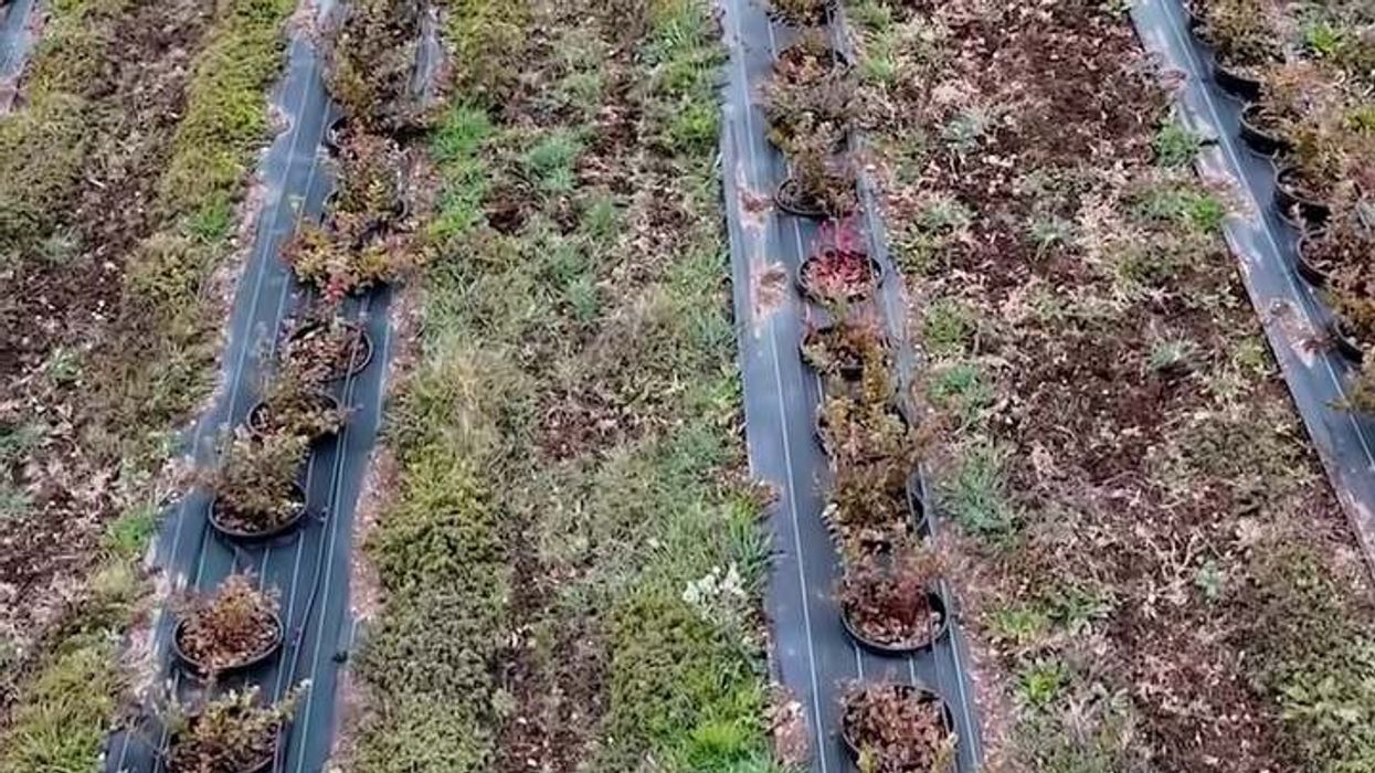 DPHM: Fundjava me shi, reshjet do të ndikojnë mjaftueshëm edhe tek kulturat bujqësore