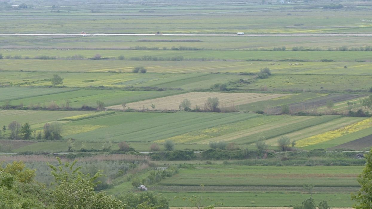 Toka shqiptare ideale për kanabis, ekspertët: 40% e fondit bujqësor, e përshtatshme