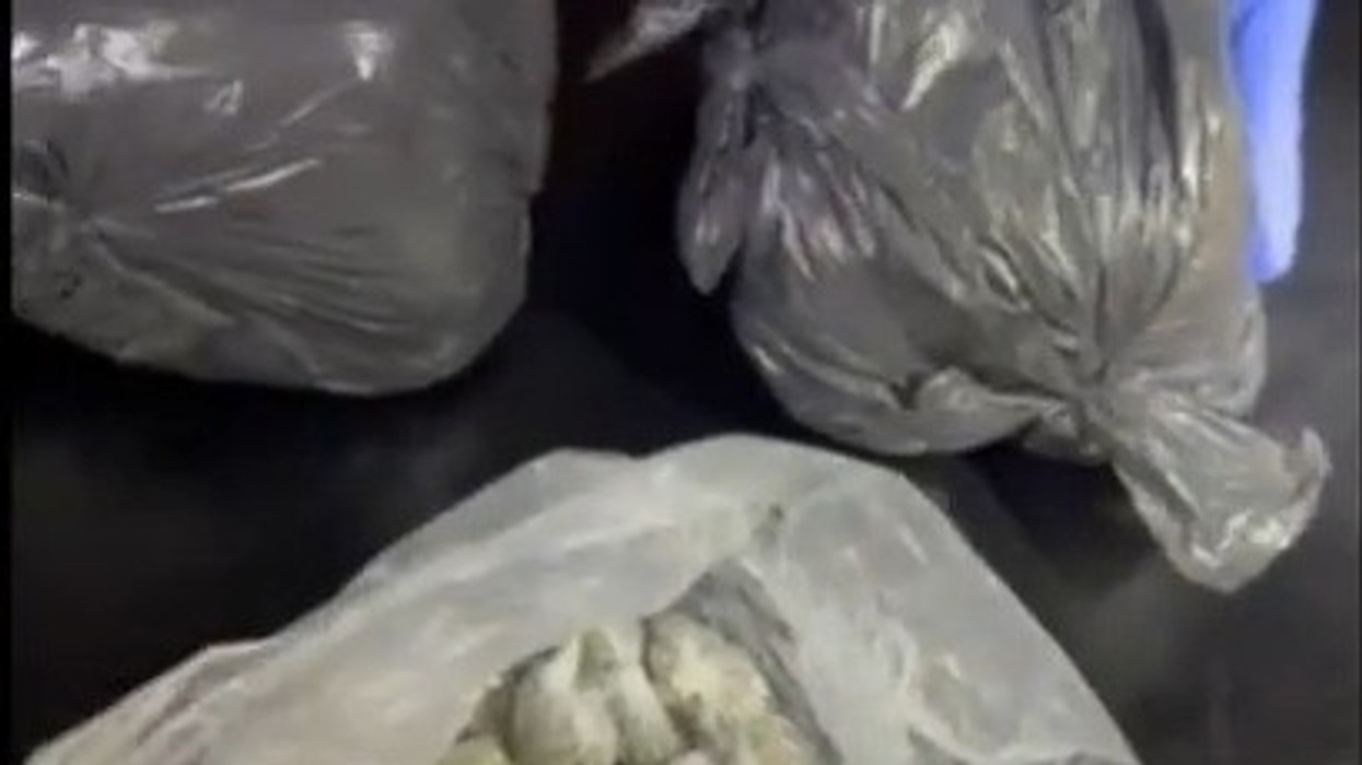 Kapen lëndë narkotike në Veles