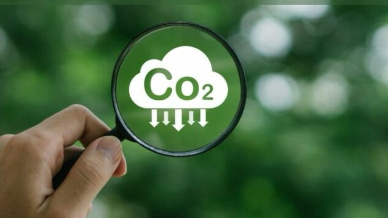 “Kompensimi i Karbonit", nismë inovative për të trajtuar krizën globale të klimës