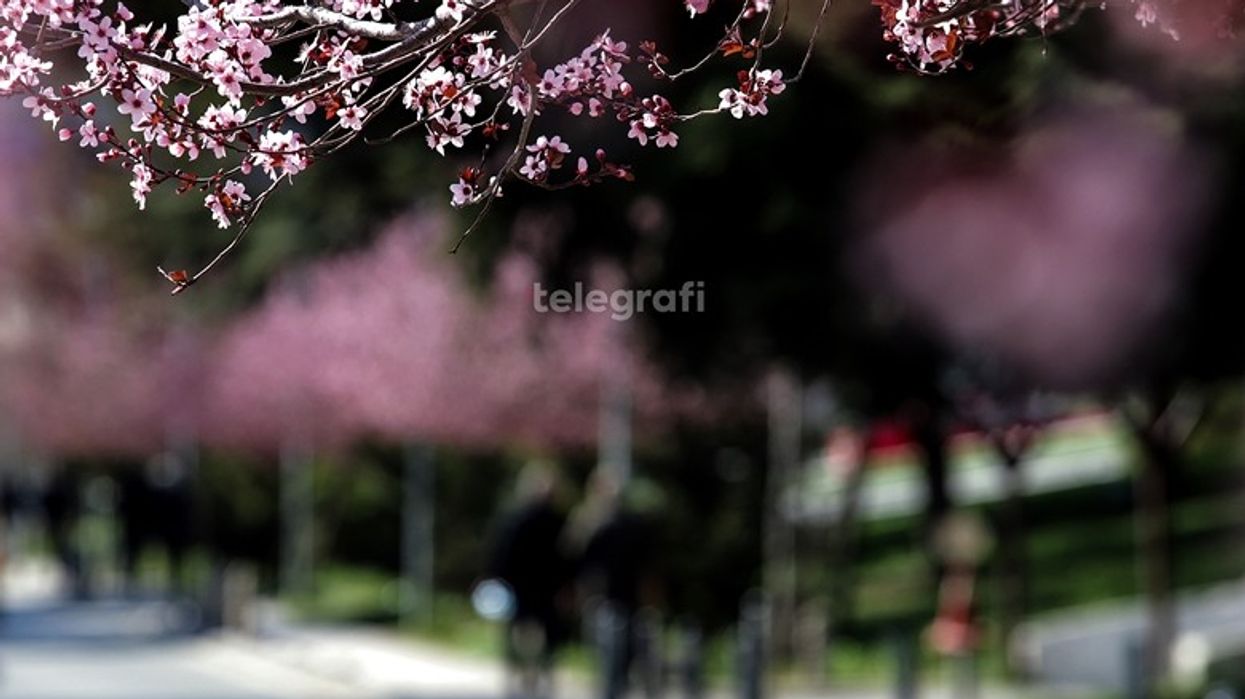 Mëngjesi me diell, pasdite priten reshje shiu dhe shkarkime rrufesh