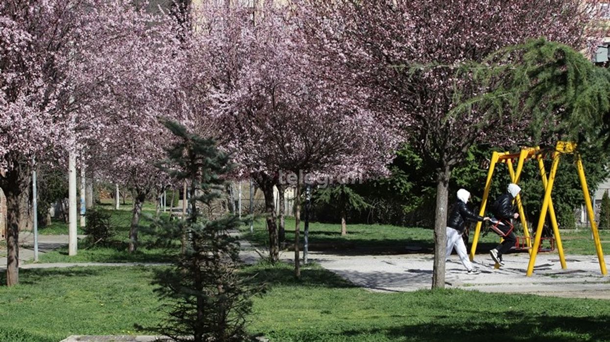 Mot me diell dhe vranët