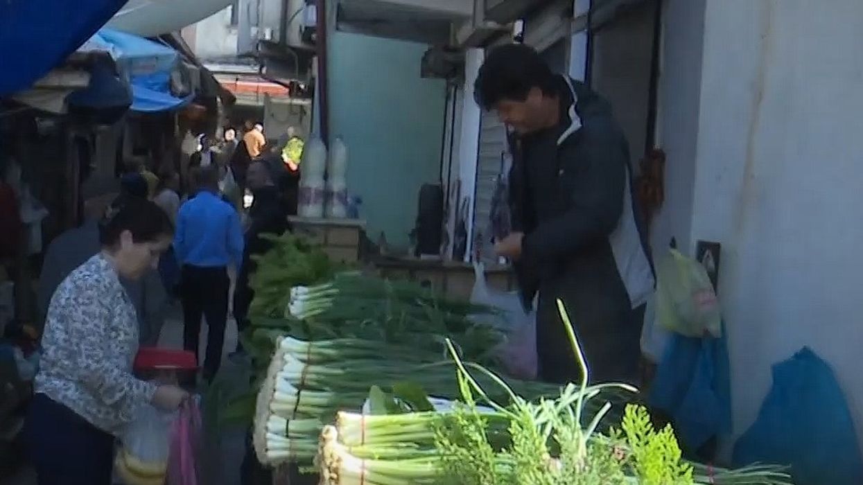 Rritet kërkesa për produktet e bahçeve në Kukës