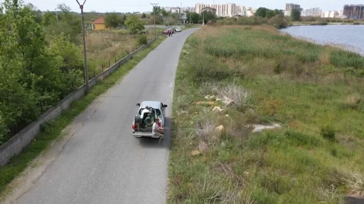 Nis dezinsektimi në Lezhë